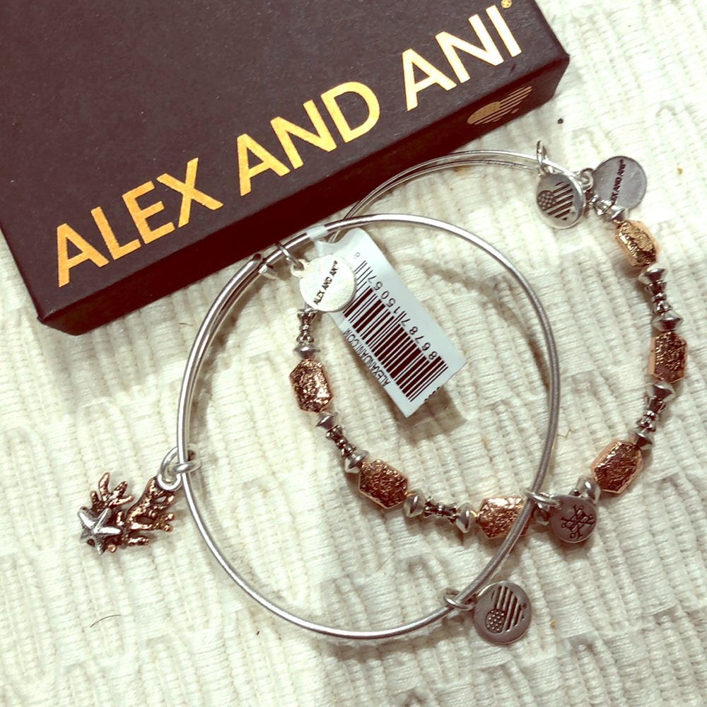 New Alex & Ani charm bracelet